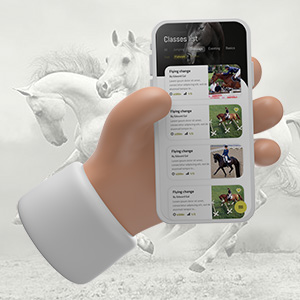 Equestrian training – mobile app UX UI + Admin